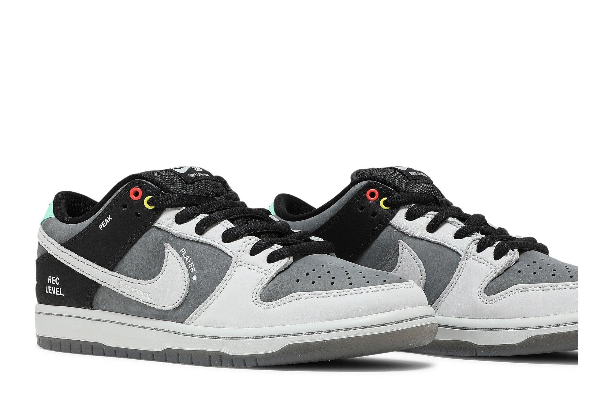 Nike SB Dunk Low VX 1000 Camcorder